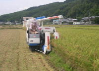 ○○○○○○○○イメージ